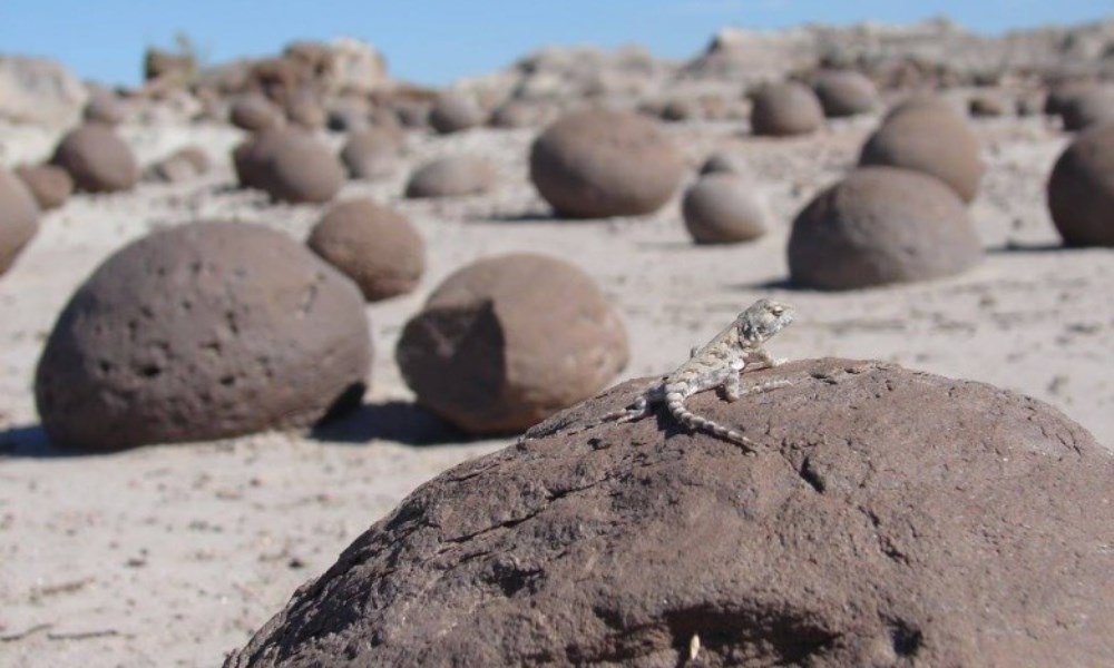 Ischigualasto fue elegido como uno de los Segundos 100 Sitios de Patrimonio Geológico.