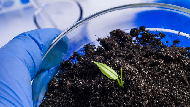 Estudio destaca el uso de biofertilizantes para sostenibilidad agrícola en Brasil