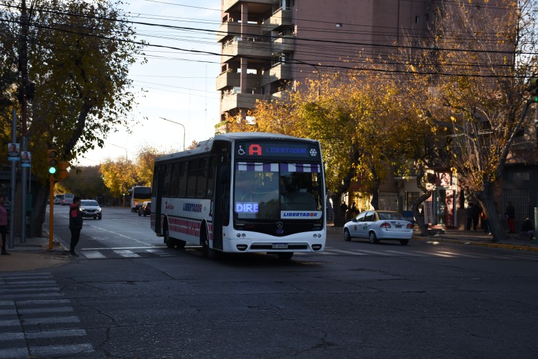 Gobierno comenzará a notificar a los beneficiarios del boleto escolar gratuito