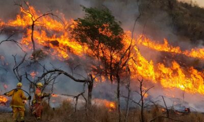 El fuego arrasa las montañas de Córdoba en Capilla del Monte, La Granja y Villa Berna.