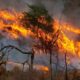 El fuego arrasa las montañas de Córdoba en Capilla del Monte, La Granja y Villa Berna.