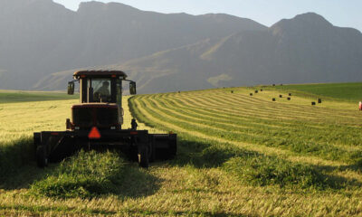 Representante de la FAO elogia avances de la agricultura productiva e inclusiva en Etiopía