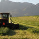 Representante de la FAO elogia avances de la agricultura productiva e inclusiva en Etiopía