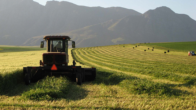 Representante de la FAO elogia avances de la agricultura productiva e inclusiva en Etiopía