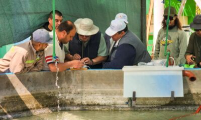 Ambiente trabaja en la implementación de innovaciones en la cría de pejerrey