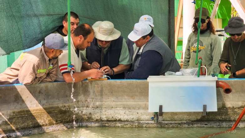 Ambiente trabaja en la implementación de innovaciones en la cría de pejerrey