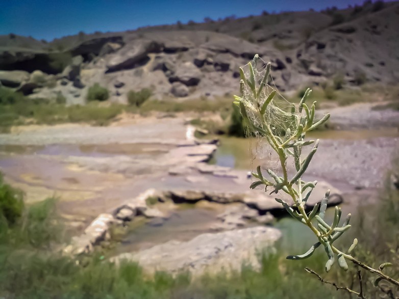 En San Juan se bebía el agua medicinal “El Salado”