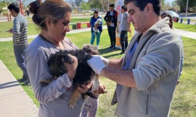 Más de 100 mascotas vacunadas en un operativo de tenencia responsable en El Mogote