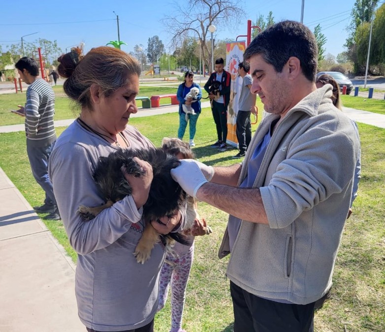 Más de 100 mascotas vacunadas en un operativo de tenencia responsable en El Mogote