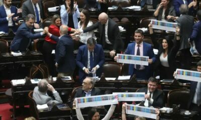 De qué se trata la Boleta Única Papel que tendrá Argentina en el 2025.