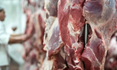 Las exportaciones de carne subieron 23,8% entre julio y agosto.