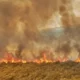 La policia logró la detención de dos personas por el incendio en Jáchal.