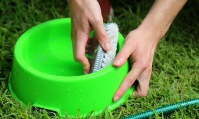 En San Juan comienza la Semana de barrios sin dengue