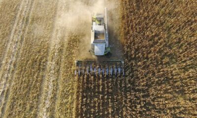 La macro podría ayudar al agro el próximo año