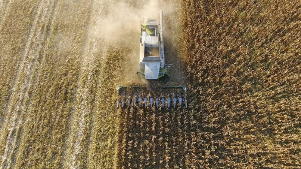 La macro podría ayudar al agro el próximo año