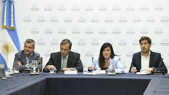 Diputados avanzó con reformas en legítima defensa y el régimen de juicio en ausencia