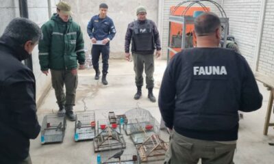 La División Policía Ecológica: pilar en la protección de la fauna y el bienestar animal