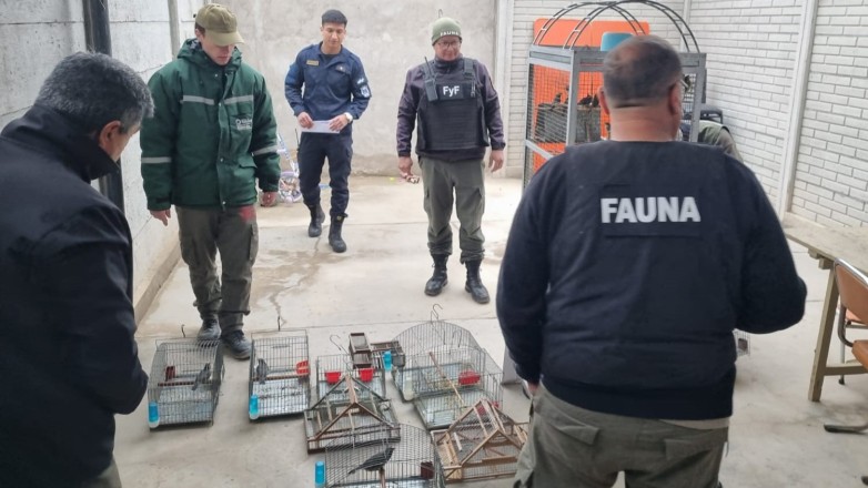 La División Policía Ecológica: pilar en la protección de la fauna y el bienestar animal