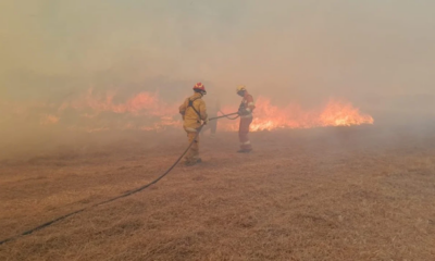 Senado avanza con reforma de ley que impedía ventas de campos incendiados