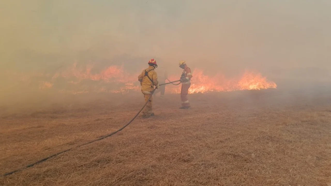 Senado avanza con reforma de ley que impedía ventas de campos incendiados