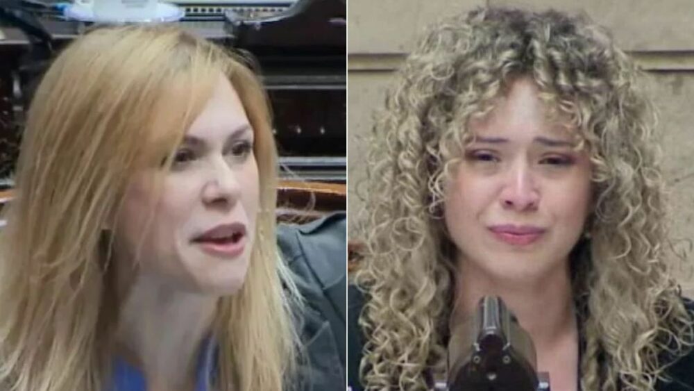 Lilia Lemoine cruzó a Lourdes Arrieta por Ficha Limpia: Me repugnás