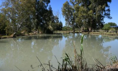 Horarios de verano para Anchipurac, Parque Presidente Sarmiento y Parque de la Biodiversidad