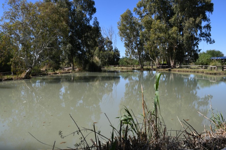 Horarios de verano para Anchipurac, Parque Presidente Sarmiento y Parque de la Biodiversidad