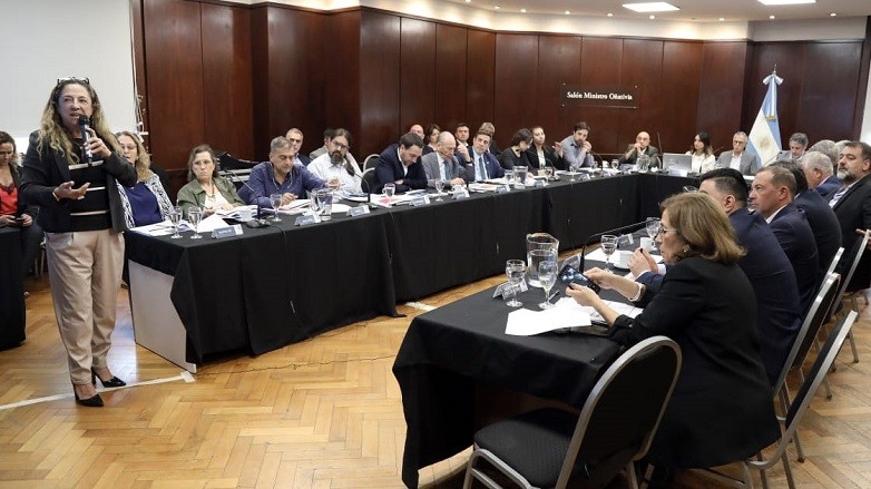 El ministro Amílcar Dobladez participó de la última reunión del Consejo Federal de Salud 2024