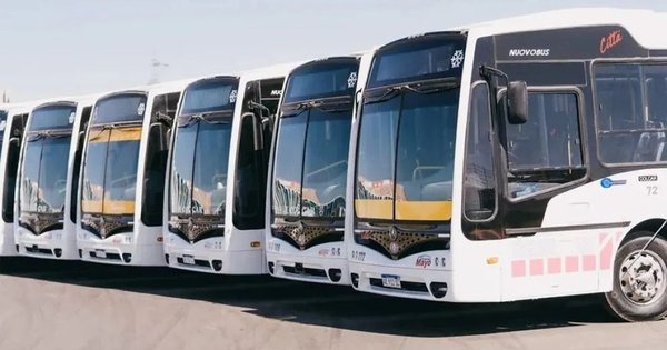 El Gobierno rompió el monopolio de la UTA en capacitación de conductores