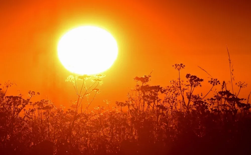 Ola de calor: se esperan temperaturas récord de hasta 40 °C este fin de semana