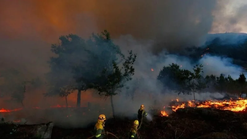 Marchas en todo el país contra los incendios, con un mensaje a Milei: «Apaguen en fuego ya»