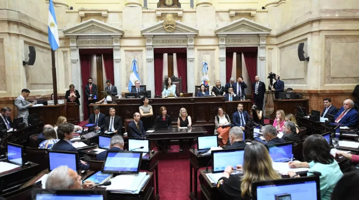 No habrá PASO en 2025: el Senado votó la suspensión